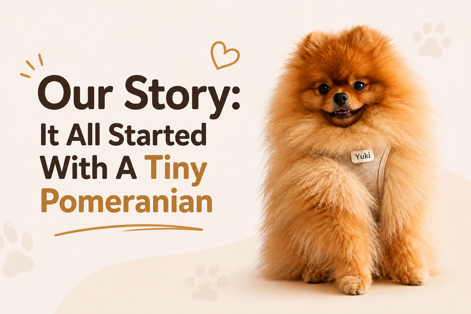 Our Story: It All Started With A Tiny Pomeranian